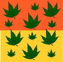Marihuana Orange und Gelb Flagge Illustration Vektor auf Weiß Hintergrund