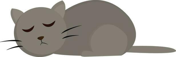 Schlafen Katze Vektor oder Farbe Illustration