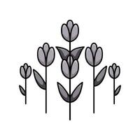 Blume Natur Illustration vektor