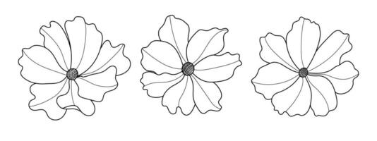 Linie Kunst botanisch Illustration Vektor auf Weiß Hintergrund