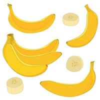uppsättning av vektor gul bananer i platt stil. hela exotisk frukt, knippa av bananer, skivad vit kött. ClipArt i tecknad serie stil för förpackning design av juice, sylt, skivor.