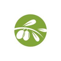 Olive Logo Symbol vektor