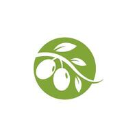 Olive Logo Symbol vektor