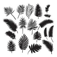 groß einstellen von anders Palme Blätter Muster einstellen von schwarz und Weiß Vektor Abbildungen anders Palme Blätter schwarz Silhouette