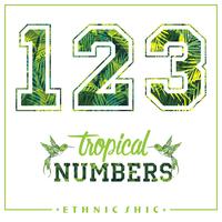 Vector tropische Zahlen für T-Shirts, Poster, Karten und andere Zwecke.