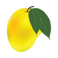 Vektor köstlich Mango reif Gelb, Orange mit Blatt isoliert auf Weiß Hintergrund