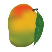 Vektor köstlich Mango reif Gelb, Orange mit Blatt isoliert auf Weiß Hintergrund