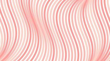 Rosa und Weiß gestreift Hintergrund mit wellig Linien, abstrakt nahtlos Muster mit gebogen Linien Rosa Farbe, Streifen mit optisch Illusion, Vektor Illustration