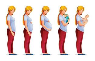 graviditet etapper. ändringar i kvinna kropp under graviditet. gravid kvinna och nyfödd bebis. vektor tecknad serie illustration