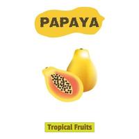 tropische Fruchtpapaya-freies Vektorillustrationsdesign vektor