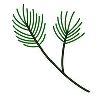 jul träd gren. gran kvist, barrträd växt med grön nålar, trä kon. vinter- säsong- barr- kvist. jul Semester naturlig element. platt vektor illustration isolerat