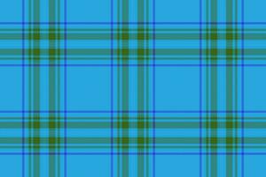 nahtlos Stoff Plaid von Textil- Tartan Muster mit ein Vektor Textur Hintergrund überprüfen.