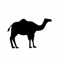 kamel silhuett vektor. dromedar silhuett kan vara Begagnade som ikon, symbol eller tecken. kamel ikon vektor för design av öken, sahara, afrika eller resa