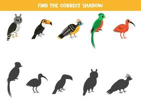 finden Schatten von süß Süd amerikanisch Tiere. lehrreich logisch Spiel zum Kinder. vektor