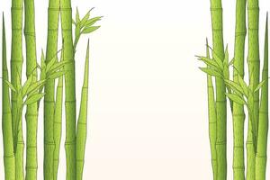 bambu träd vektor