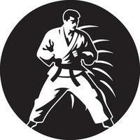 karate bild vektor