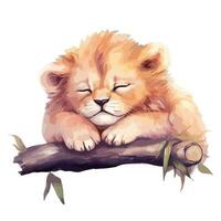 vattenfärg bebis lejon sovande. vektor illustration med hand dragen söt lejon. klämma konst bild.