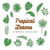 Vektor 16 tropisch Blätter Pack
