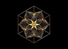Samen des Lebenssymbols heilige Geometrie. Gold-Logo-Symbol geometrisches mystisches Mandala vektor