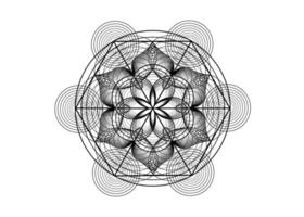 livets frö symbol helig geometri. logotyp ikon geometrisk mystisk mandala vektor