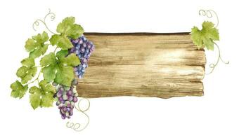 hölzern Schilder zum Traube Plantagen, Weinberge. Holz Tafel mit Trauben von Trauben und Blätter. Schild mit Weinrebe. isoliert Aquarell Illustrationen. zum Postkarten, Marketing, Einladungen. vektor