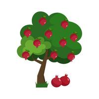 Vektor Illustration von ein Granatapfel Baum im eben Stil auf ein Weiß Hintergrund. Granatapfel.