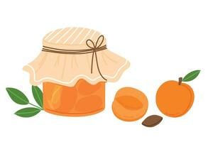 aprikos sylt i glas burk isolerat på vit bakgrund. hemlagad ljuv mat. aprikos och burk med sylt. vektor platt illustration.
