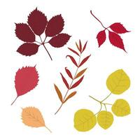 einstellen von stilisiert Baum Blätter. Sammlung von fallen Herbst Blätter. Vektor Illustration von Hand gezeichnet Pflanzen mit Linien. Gekritzel Blatt.