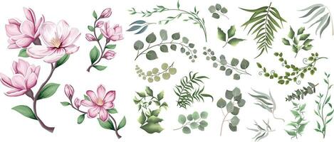 blanda av örter och växter vektor stor samling. grön växter och löv. Allt element är isolerat. en gren av rosa magnolia, sakura.
