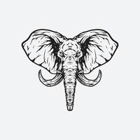 Elefantenkopfillustration vektor