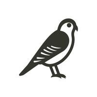 amerikanisch Turmfalke Vogel Symbol auf Weiß Hintergrund - - einfach Vektor Illustration