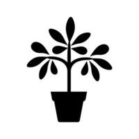 schefflera Pflanze Symbol - - einfach Vektor Illustration