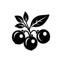 jabuticaba Symbol isoliert auf Weiß Hintergrund vektor