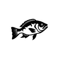 vergrößert Bass Fisch Symbol auf Weiß Hintergrund - - einfach Vektor Illustration