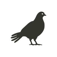 Auerhuhn Vogel Symbol auf Weiß Hintergrund - - einfach Vektor Illustration