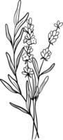 bukett av lavendel- blomma linje konst teckning. hand dragen svart bläck skiss. design för tatuering, bröllop inbjudan, logotyp, kort, förpackning och märkning. botanisk vektor illustration