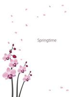 süße Orchideen-Blumenpostkarte. Frühlingsrosa blühende Komposition mit Knospen und Blättern. festliche Dekorationen für Hochzeit, Urlaub, Postkarte, Poster vektor