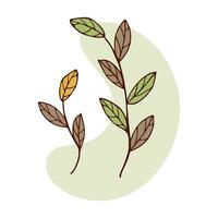 Geäst mit Blätter. Pflanze isoliert Vektor Illustration. farbig Herbst Blätter Gekritzel Stil.