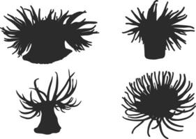 Meer Anemone Silhouette, Meer Anemone Vektor Illustration, Meer Anemone Clip Art.