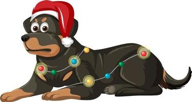 rottweiler hund bär jul hatt seriefigur vektor