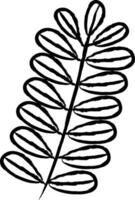 tamarind blad hand dragen vektor illustration