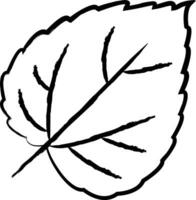 Maulbeere Blatt Hand gezeichnet Vektor Illustration