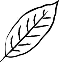 laurel blad hand dragen vektor illustration
