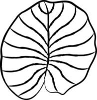 Lotus Blatt Hand gezeichnet Vektor Illustration