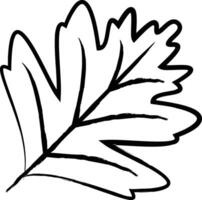 Weißdorn Blatt Hand gezeichnet Vektor Illustration