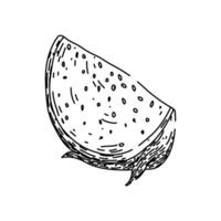organisch Drachen Obst skizzieren Hand gezeichnet Vektor