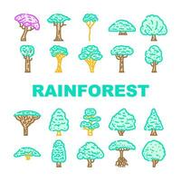 regnskog träd skog grön ikoner uppsättning vektor