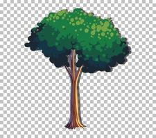 ett träd med gröna blad vektor