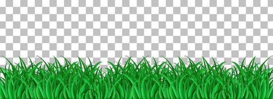 grünes Gras isoliert vektor