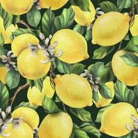 Zitronen sind Gelb, saftig, reif mit Grün Blätter, Blume Knospen auf das Geäst, ganze und Scheiben. Aquarell, Hand gezeichnet botanisch Illustration. nahtlos Muster auf ein dunkel Hintergrund vektor
